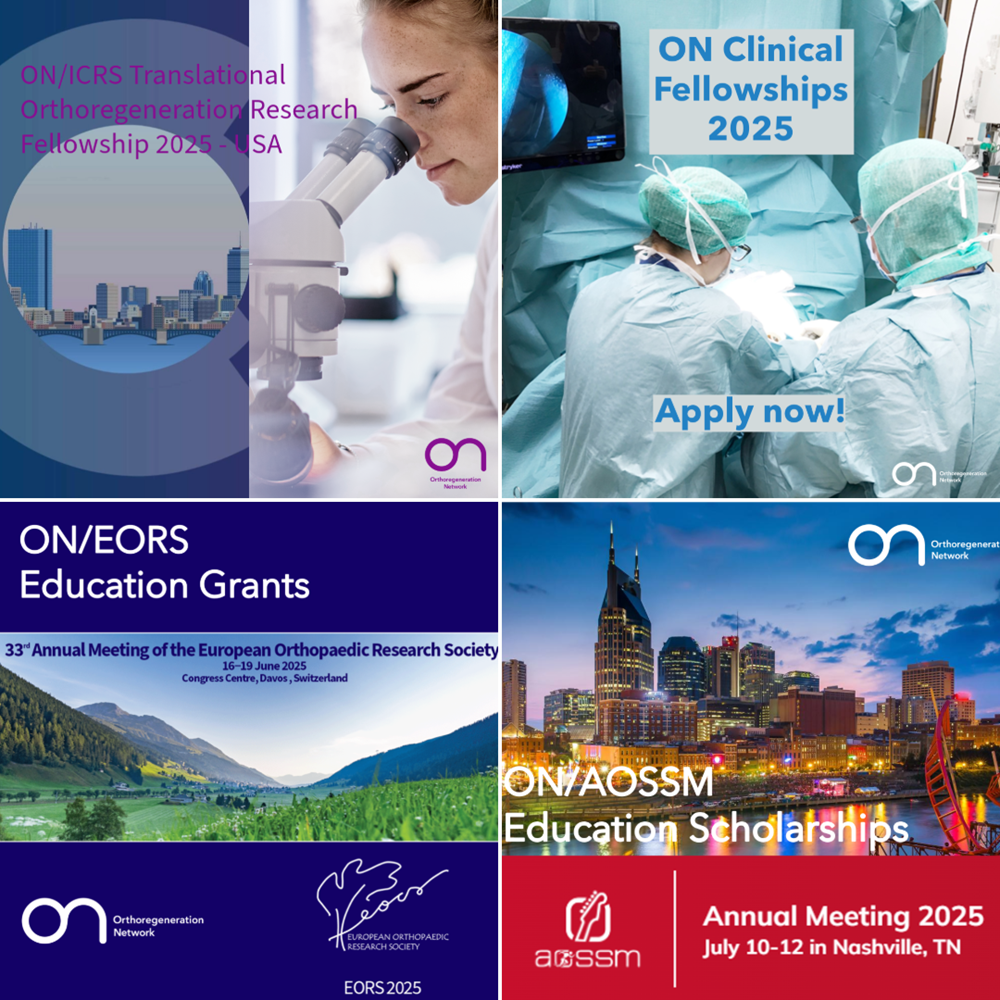 Education_Support_Programs_2025_0.png
